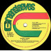 Ranking Dread / The Roots Radics & Jackie Mittoo - Love A Dub / Dub A Dub (12", RE)