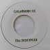 Tarrus Riley, The Disciples - Chant Rastafari (Russ D Remix) (7", W/Lbl)