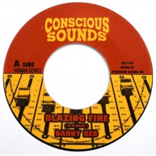 Danny Red, Drumma Zinx - Blazing Fire / Human Dub 1 (7")