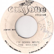 The Wailers - I'm Going Home / It Hurts To Be Alone (7", Single)