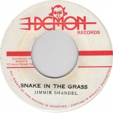 Jimmie Shandel - Snake In The Grass (7")