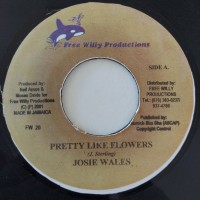 Josey Wales - Pretty Like Flowers (7", Single)