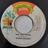 Spanner Banner - Are You Trying (7")