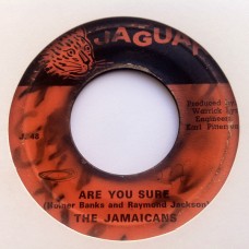 The Jamaicans - Are You Sure (7")