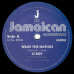 U-Roy - Wake The Nation (7", Single)