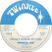 The Twinkle Brothers - Skeleton Inna Closet (7")