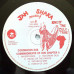 Jah Shaka - Coronation Dub - Commandments Of Dub Chapter 9 (LP, Album)